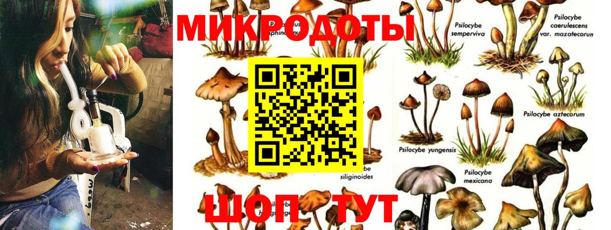 Галлюциногенные грибы прущие грибы  даркнет сайт  Псилоцибиновые грибы GOLDEN TEACHER  Чайковский  Вход с VPN 