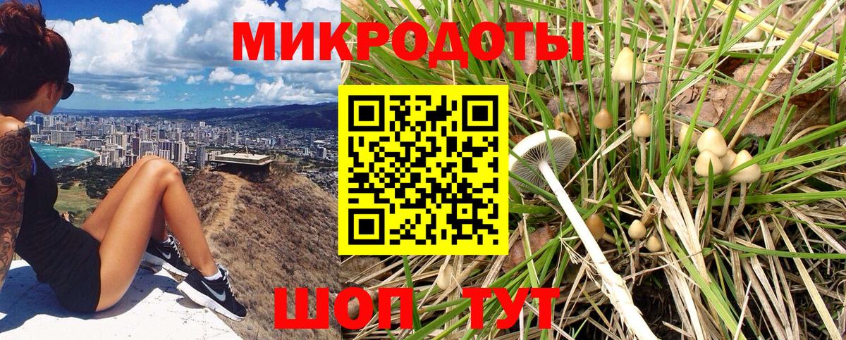 Галлюциногенные грибы Psilocybe Чайковский